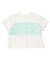 WEB限定  チューブトップチュールTシャツ