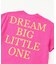 WEB限定  ビッグシルエットネオンTシャツ