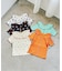 WEB限定 ワッフルフリル衿Tシャツ