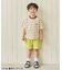 ALCロゴボーダーTシャツ