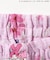 【サンリオキャラクターズ】甚平（帯セット）
