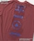 THRASHER　水陸両用　ガラデルTシャツ