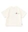 WEB限定  バックプリントTシャツ