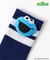 SESAME STREET 立体ソックス