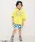 【WEB限定 】DAISUKI総柄ハーフパンツ/ライト  5分丈