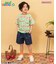 イロガラタックハーフパンツ  5分丈