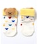 tiny bear Palette ラトル付きソックス