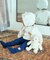 tiny bear Palette ファーストトイぬいぐるみ