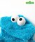 【リンク】SESAME STREET もこもこなりきりボディ