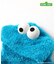 【リンク】SESAME STREET もこもこなりきりボディ