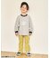 【リンク】バラエティ転写モチーフTシャツ