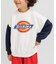 WEB限定【Dickies】ロゴトレーナー