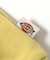 WEB限定【Dickies】ロゴトレーナー