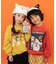 【リンク】BREEZY CATS にゃんシーントレーナー
