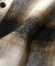 WEB限定 【DayOr】チェック＆デニムボータイ付きシャツ