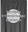 【WESTERN HYDRODYNAMIC RESEARCH/ウェスタン ハイドロダイナミック リサーチ】RASHGUARD S/S