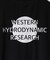 【WESTERN HYDRODYNAMIC RESEARCH/ウェスタン ハイドロダイナミック リサーチ】RASHGUARD S/S