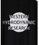 【WESTERN HYDRODYNAMIC RESEARCH/ウェスタン ハイドロダイナミック リサーチ】RASHGUARD S/S