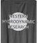 【WESTERN HYDRODYNAMIC RESEARCH/ウェスタン ハイドロダイナミック リサーチ】RASHGUARD S/S