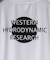 【WESTERN HYDRODYNAMIC RESEARCH/ウェスタン ハイドロダイナミック リサーチ】RASHGUARD S/S
