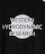【WESTERN HYDRODYNAMIC RESEARCH/ウェスタン ハイドロダイナミック リサーチ】RASHGUARD S/S