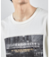 アメリカンコットンロゴプリントTシャツ