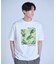 【HIBIYA-KADAN】コラボグラフィックTシャツ