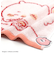 ちいかわ おうち タオルハンカチ