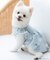 cotton flannel小型犬サイズ・犬服(ドッグウェア)・ドレス