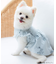 cotton flannel小型犬サイズ・犬服(ドッグウェア)・ドレス