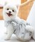 cotton flannel小型犬サイズ・犬服(ドッグウェア)・ドレス