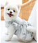 cotton flannel小型犬サイズ・犬服(ドッグウェア)・ドレス