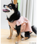 cotton flannel小型犬サイズ・犬服(ドッグウェア)・ドレス