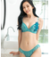 Hazy Vacation ヘイジ―バケーション コーディネートブラジャー B65-カップ