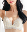Style Up Wireless -Eclat- スタイルアップワイヤレスエクラ コーディネートブラジャー B65-G75カップ