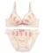 Charming Rose チャーミングローズ ブラ&ショーツセット B65-G75カップ