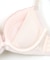 Charming Rose チャーミングローズ ブラ&ショーツセット B65-G75カップ