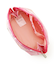 MEDIUM DOME COSMETIC ケアベアピンクレインボー