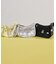 SMALL EVERYDAY BAG MH ロゴジャガードブラックスナイデル
