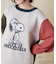 PEANUTS  ( ピーナッツ ) 1/16ネップヤーン ニット バックロゴ プルオーバー