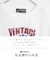 WEB限定 シアー 天竺 ロゴプリント ワイド Tシャツ