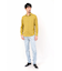 HIGH STREET∴リフラクスカッタウェイシャツ