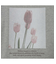 【R-ISM人気アイテム】グラフィックTシャツ（TULIP）