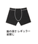 らくごこちフィットボクサー/288131