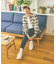 アーバンスラックス/ストレッチ/523867