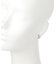 アニマルピアス/587253