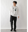 ﾘｯﾁｸﾘｰﾝSWT/ﾛｺﾞ