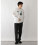 ﾘｯﾁｸﾘｰﾝSWT/ﾛｺﾞ