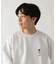 ﾘｯﾁｸﾘｰﾝSWT/ﾛｺﾞ