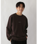 ﾘｯﾁｸﾘｰﾝSWT/ﾛｺﾞ